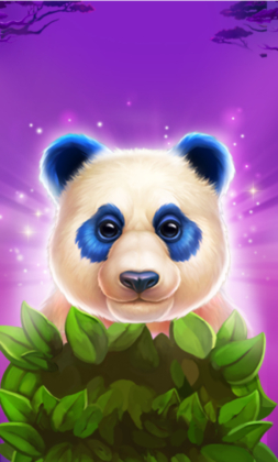 Luck of Panda: Bonus Combo